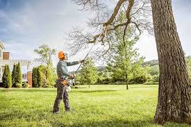 Best Lawn Mowing  in Clay, KY