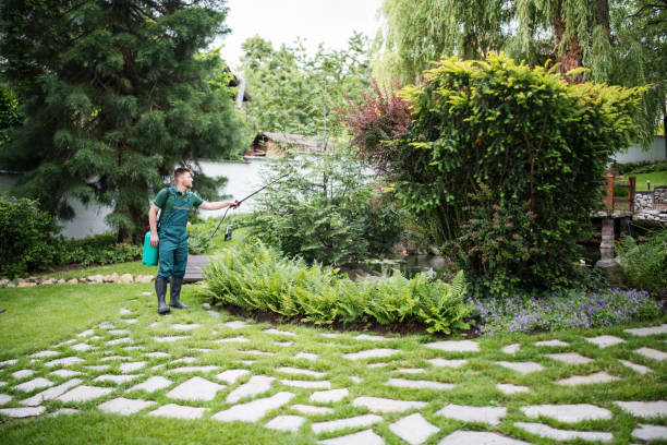 Best Commercial Tree Services  in Clay, KY