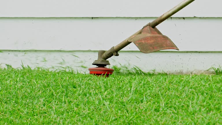 Best Tree Maintenance Programs  in Clay, KY